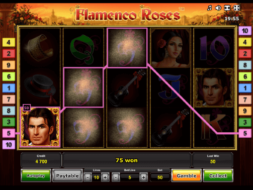 Flamenco_roses_22