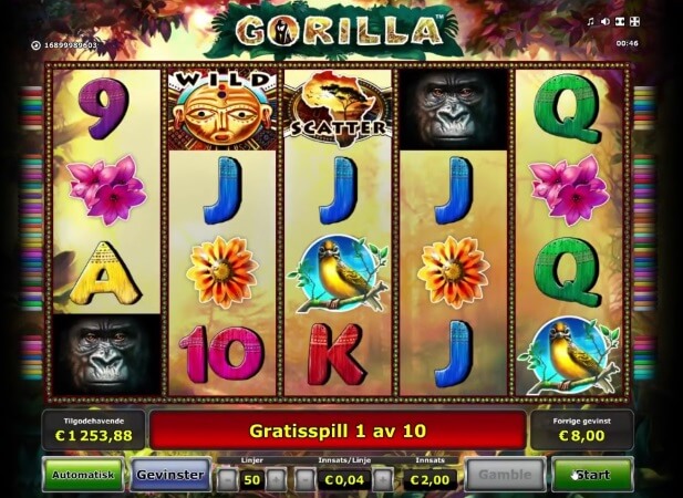 Gorilla-4