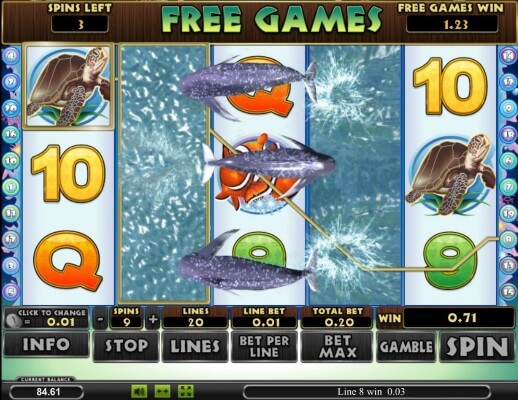 dolphin-reef-bonus-2