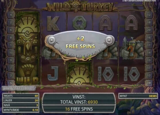 wild-turkey-spins-1