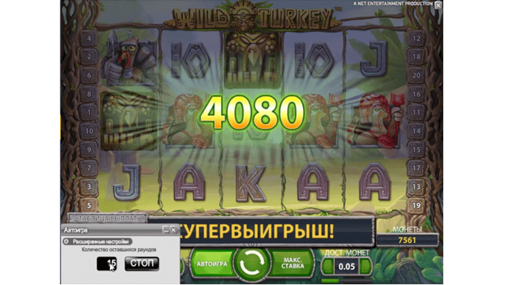 wild-turkey-win