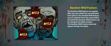 random-wild